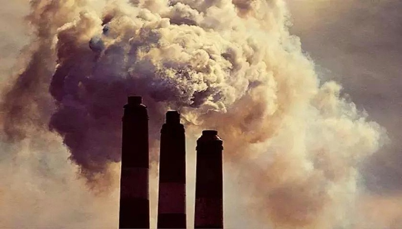 201901280839121150  201901280839121150