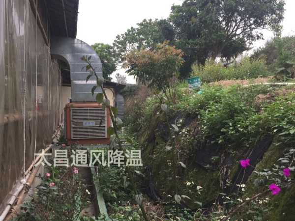 天气太热?环保空调为你的餐厅守护清凉